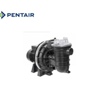 Pompe de filtration La starite 0.75 cv